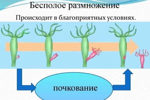 Ссылки на даркнет сайты